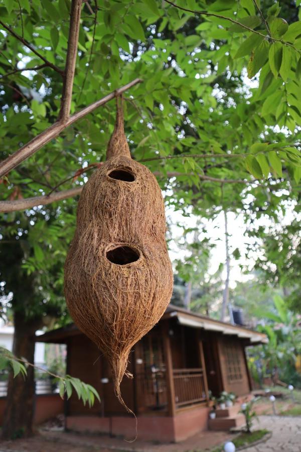 Greenchromide Homestays Mundrothuruth 외부 사진